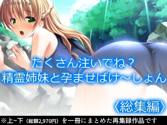 たくさん注いでね？精霊姉妹と孕ませばけ〜しょん  ＜総集編＞  エロ画像600044