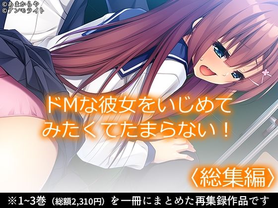 ドMな彼女をいじめてみたくてたまらない！ ＜総集編＞  エロ画像675772