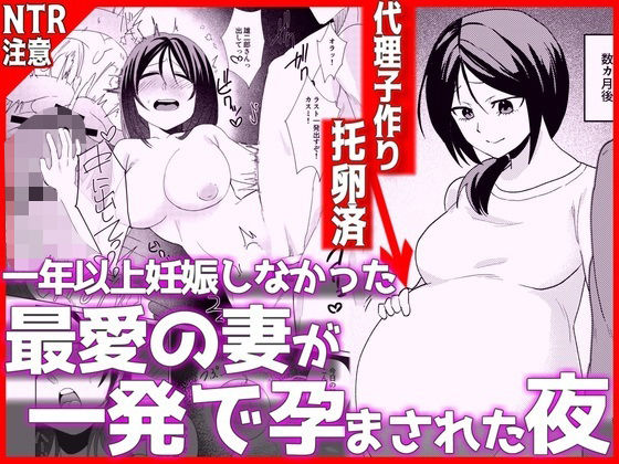 1年以上妊娠しなかった最愛の妻が一発で孕まされた夜  エロ画像798372